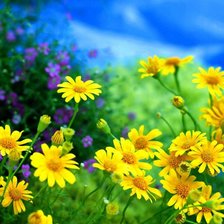 Cross stitch pattern: #771248