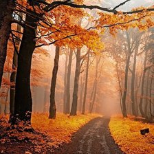 Cross stitch pattern: #771249