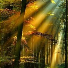 Cross stitch pattern: #771253