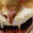 Preview of cross stitch pattern: #772657