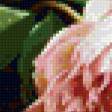 Preview of cross stitch pattern: #774208
