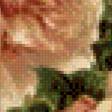 Preview of cross stitch pattern: #775533