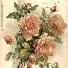 Cross stitch pattern: #775533