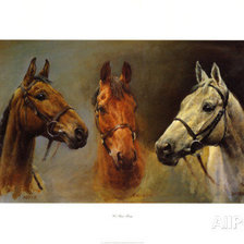 Cross stitch pattern: #775611