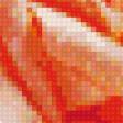 Preview of cross stitch pattern: #775753