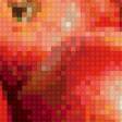 Preview of cross stitch pattern: #775954