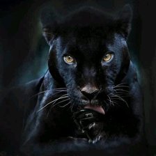 Cross stitch pattern: #775964