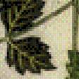 Preview of cross stitch pattern: #777101