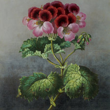 Cross stitch pattern: #777107