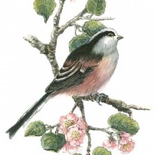 Cross stitch pattern: #777118