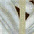 Preview of cross stitch pattern: #778421