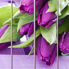 Cross stitch pattern: #779469