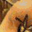 Preview of cross stitch pattern: #780331