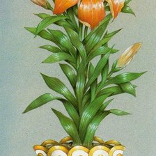 Cross stitch pattern: #780359