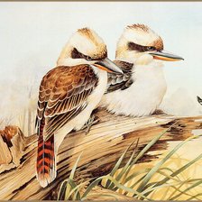 Cross stitch pattern: #780986