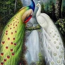 Cross stitch pattern: #781072