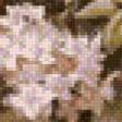 Preview of cross stitch pattern: #781082