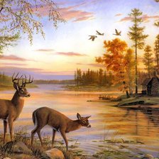 Cross stitch pattern: #781103