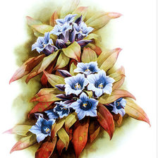 Cross stitch pattern: #781125