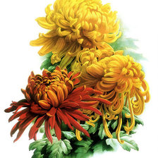 Cross stitch pattern: #781126