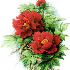 Cross stitch pattern: #781128