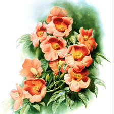 Cross stitch pattern: #781129