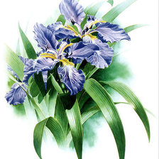 Cross stitch pattern: #781130