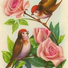 Cross stitch pattern: #781153