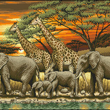 Cross stitch pattern: #781156