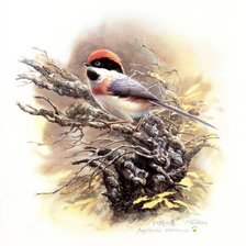 Cross stitch pattern: #781176