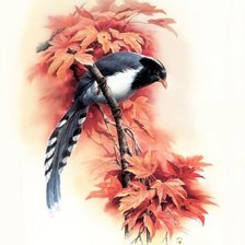 Cross stitch pattern: #781181