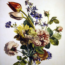 Cross stitch pattern: #781653