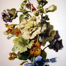 Cross stitch pattern: #781656