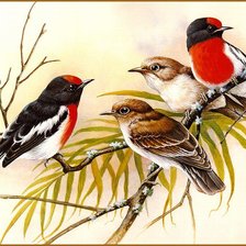 Cross stitch pattern: #782441