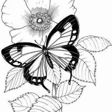 Cross stitch pattern: #785184