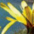 Preview of cross stitch pattern: #785437