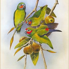 Cross stitch pattern: #787292