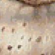 Preview of cross stitch pattern: #788190