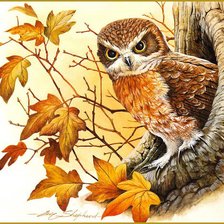 Cross stitch pattern: #788431