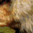 Preview of cross stitch pattern: #789085