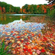 Cross stitch pattern: #789516