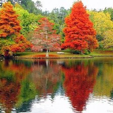 Cross stitch pattern: #789522