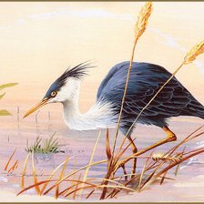 Cross stitch pattern: #790846