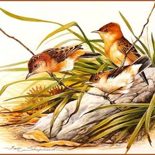 Cross stitch pattern: #791493