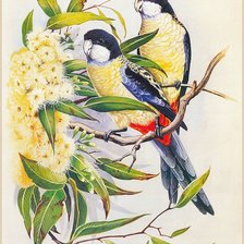 Cross stitch pattern: #793667