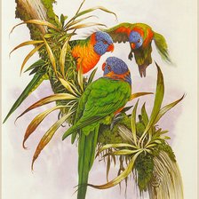 Cross stitch pattern: #793668