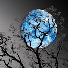 Cross stitch pattern: #795294