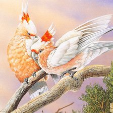 Cross stitch pattern: #797679