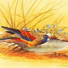 Cross stitch pattern: #797680