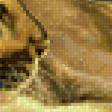 Preview of cross stitch pattern: #800273
